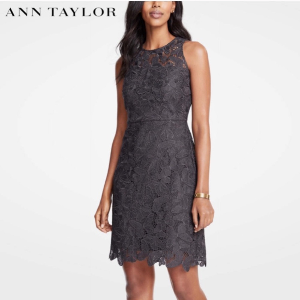 🆕Ann Taylor | Butterfly🦋Lace Sheath Dress